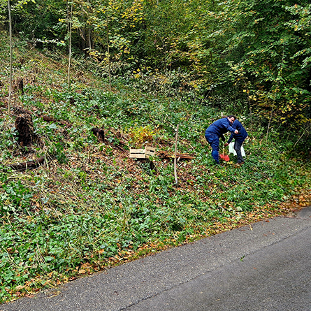 Baumpflanzung Travel and Tree 03 Baumpflanzung Travel and Tree 03