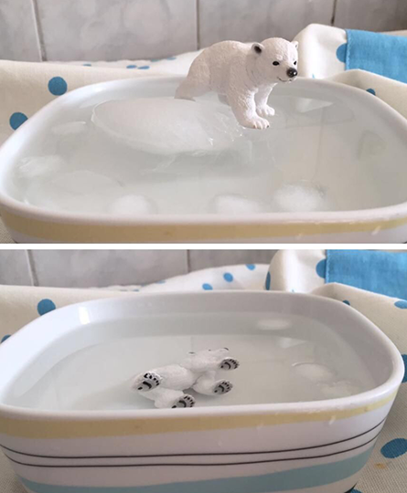 Ein zweiteiliges Bild: oben eine Schlüssel mit Wasser und viel Eis, auf dem ein Schleich-Eisbär steht. Im unteren Teil ist das Eis fast weggeschmolzen und der Eisbär schwimmt auf der Seite liegend im Wasser