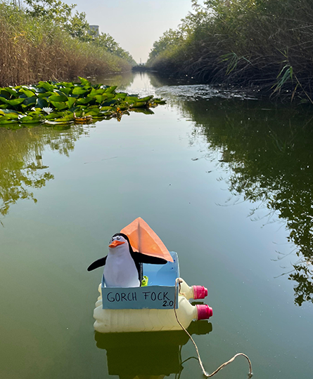 Im Vordergrund ein Floß aus Wasserflaschen mit einer Papierschachtel als Deck. Ein Pinguin ist Kapitän und es gibt einen Mast mit Segel. Das Floß schippert auf einem Fluss.