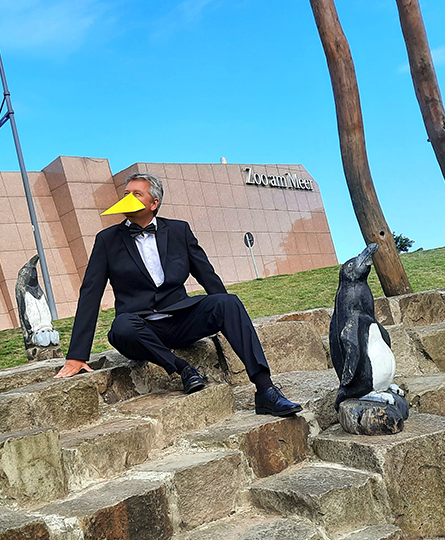 Mann sitzt in Smoking und mit Fliege auf Steinstufen zwischen Pinguin-Figuren. Er trägt einen Papierschnabel, stellt also auch einen Pinguin dar. Im Hintergrund ist der Zoo am Meer zu sehen